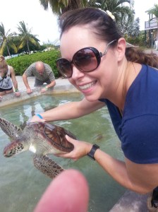 Baby sea turtles are hard to catch