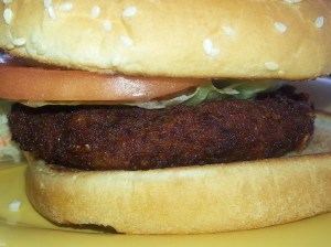 close up of my turtle burger