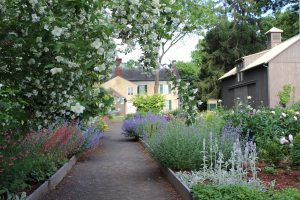 Florence Griswold Museum Garden