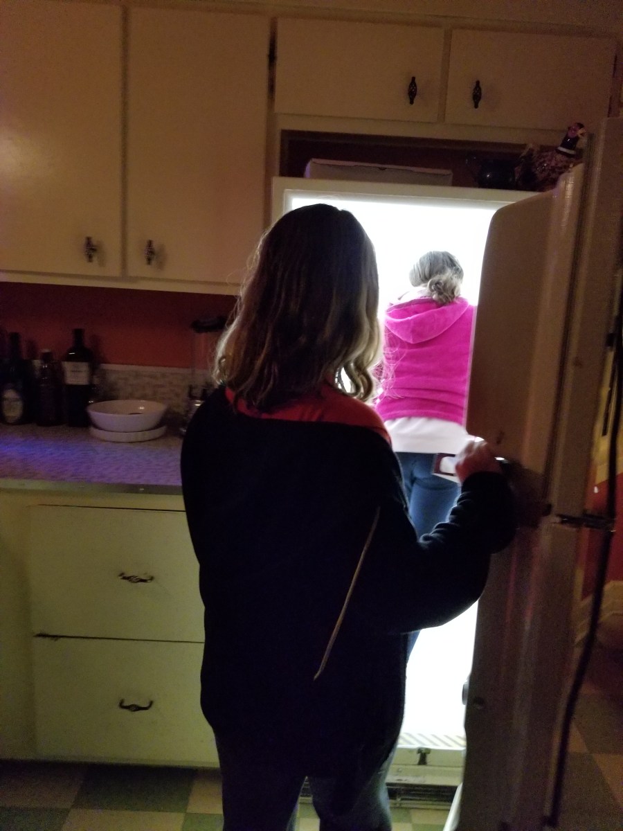 At Meow Wolf in Santa Fe, unconventional passageways between rooms include a refigerator. Photo by Anastasia Mills Healy