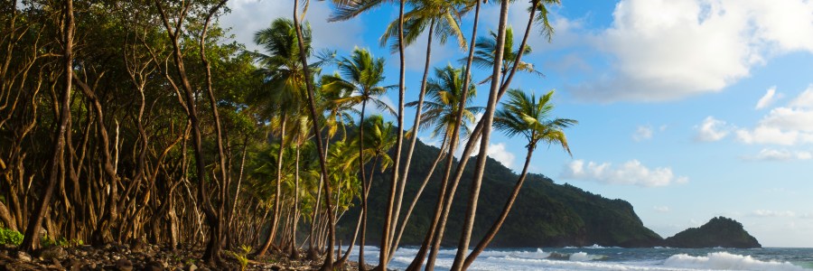 View of the Atlantic Ocean from the black sand beach at Rosalie Bay Resort