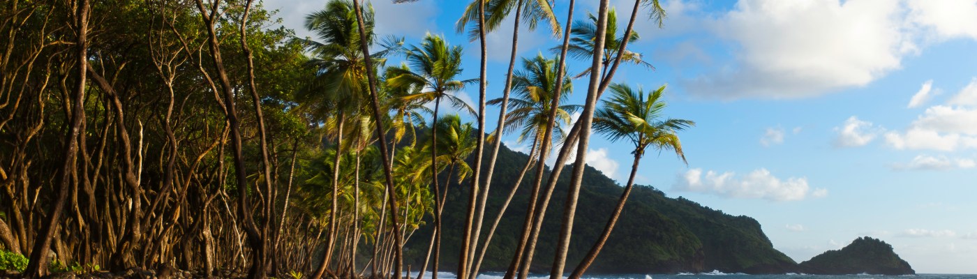 View of the Atlantic Ocean from the black sand beach at Rosalie Bay Resort