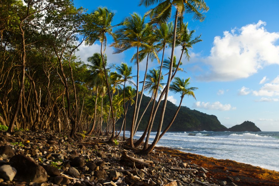 View of the Atlantic Ocean from the black sand beach at Rosalie Bay Resort